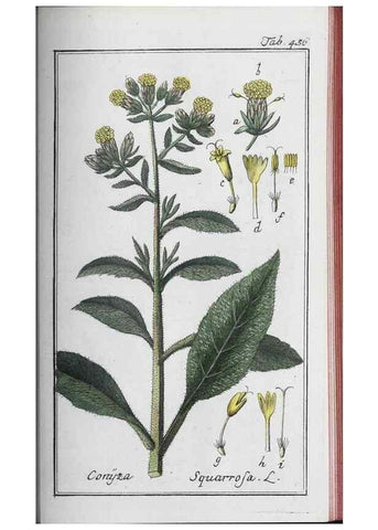Reproducción/Reproduction 32237954747: Icones plantarum medicinalium.. Nürnberg :auf Kosten der Raspischen Buchhandlung,1779-1790. 
