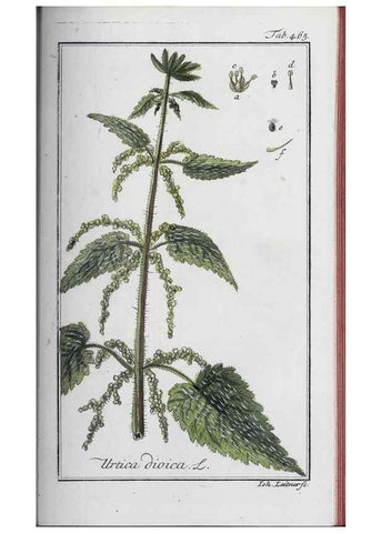Reproducción/Reproduction 33304473278: Icones plantarum medicinalium.. Nürnberg :auf Kosten der Raspischen Buchhandlung,1779-1790. 