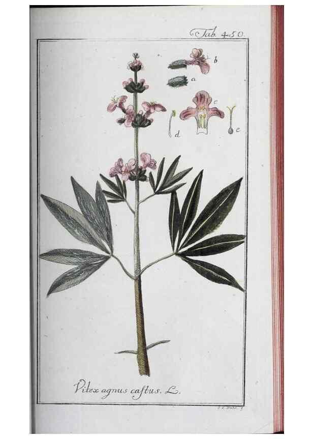 Reproducción/Reproduction 47127898712: Icones plantarum medicinalium.. Nürnberg :auf Kosten der Raspischen Buchhandlung,1779-1790. 