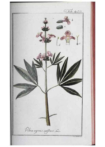Reproducción/Reproduction 47127898712: Icones plantarum medicinalium.. Nürnberg :auf Kosten der Raspischen Buchhandlung,1779-1790. 