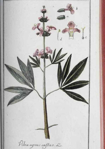 Reproducción/Reproduction 47127898712: Icones plantarum medicinalium.. Nürnberg :auf Kosten der Raspischen Buchhandlung,1779-1790. 