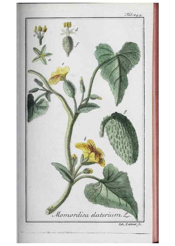Reproducción/Reproduction 47127894712: Icones plantarum medicinalium.. Nürnberg :auf Kosten der Raspischen Buchhandlung,1779-1790. 