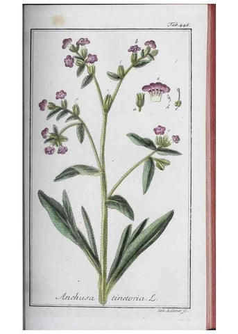 Reproducción/Reproduction 47127896152: Icones plantarum medicinalium.. Nürnberg :auf Kosten der Raspischen Buchhandlung,1779-1790. 