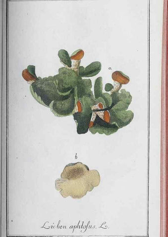 Reproducción/Reproduction 46456160564: Icones plantarum medicinalium.. Nürnberg :auf Kosten der Raspischen Buchhandlung,1779-1790. 