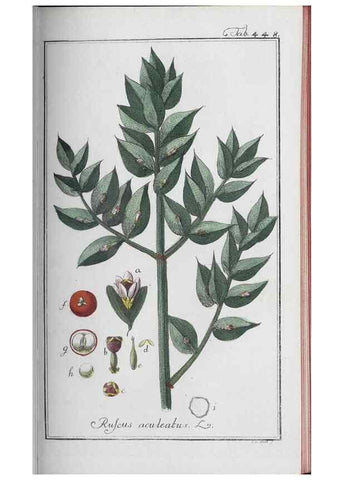 Reproducción/Reproduction 40214836653: Icones plantarum medicinalium.. Nürnberg :auf Kosten der Raspischen Buchhandlung,1779-1790. 