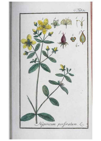 Reproducción/Reproduction 32237236227: Icones plantarum medicinalium.. Nürnberg :auf Kosten der Raspischen Buchhandlung,1779-1790. 