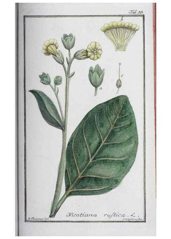 Reproducción/Reproduction 47178968141: Icones plantarum medicinalium.. Nürnberg :auf Kosten der Raspischen Buchhandlung,1779-1790. 