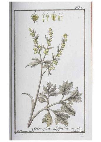 Reproducción/Reproduction 33303691818: Icones plantarum medicinalium.. Nürnberg :auf Kosten der Raspischen Buchhandlung,1779-1790. 