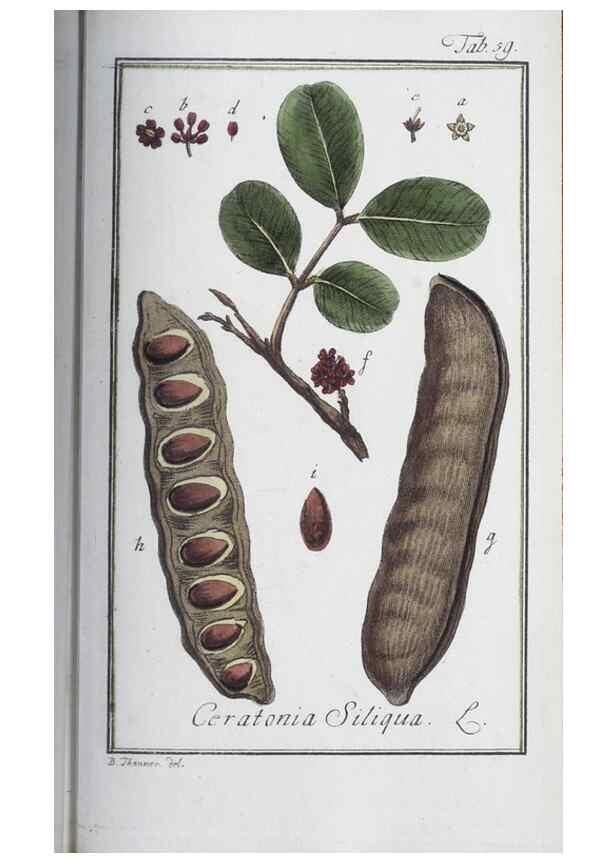 Reproducción/Reproduction 33303718618: Icones plantarum medicinalium.. Nürnberg :auf Kosten der Raspischen Buchhandlung,1779-1790. 