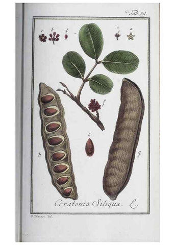 Reproducción/Reproduction 33303718618: Icones plantarum medicinalium.. Nürnberg :auf Kosten der Raspischen Buchhandlung,1779-1790. 