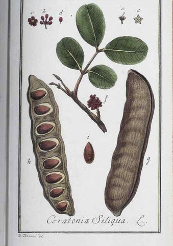 Reproducción/Reproduction 33303718618: Icones plantarum medicinalium.. Nürnberg :auf Kosten der Raspischen Buchhandlung,1779-1790. 