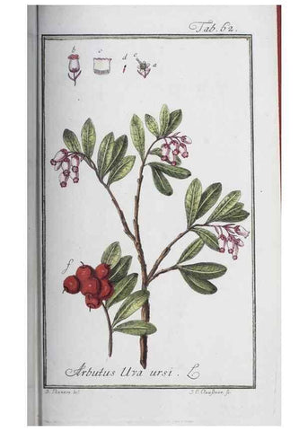 Reproducción/Reproduction 33303720408: Icones plantarum medicinalium.. Nürnberg :auf Kosten der Raspischen Buchhandlung,1779-1790. 