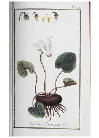 Reproducción/Reproduction 47127165512: Icones plantarum medicinalium.. Nürnberg :auf Kosten der Raspischen Buchhandlung,1779-1790. 