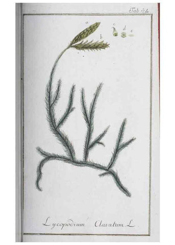 Reproducción/Reproduction 32237257437: Icones plantarum medicinalium.. Nürnberg :auf Kosten der Raspischen Buchhandlung,1779-1790. 