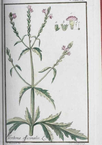 Reproducción/Reproduction 47127139792: Icones plantarum medicinalium.. Nürnberg :auf Kosten der Raspischen Buchhandlung,1779-1790. 