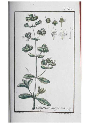 Reproducción/Reproduction 32237246507: Icones plantarum medicinalium.. Nürnberg :auf Kosten der Raspischen Buchhandlung,1779-1790. 