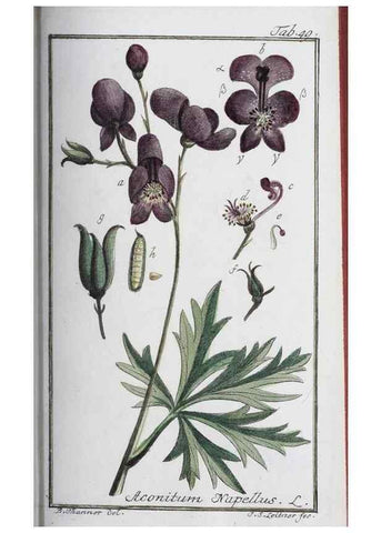 Reproducción/Reproduction 46455496714: Icones plantarum medicinalium.. Nürnberg :auf Kosten der Raspischen Buchhandlung,1779-1790. 