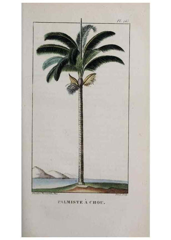Reproducción/Reproduction 32228135297: Flore pittoresque et médicale des Antilles, ou, Histoire naturelle des plantes usuelles des colonies françaises, anglaises, espagnoles, et portugaises /. Paris :Ches l'Editeur,1833.. 