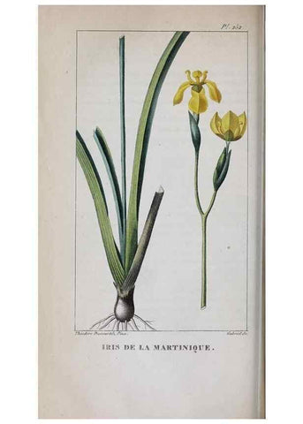 Reproducción/Reproduction 33294733658: Flore pittoresque et médicale des Antilles, ou, Histoire naturelle des plantes usuelles des colonies françaises, anglaises, espagnoles, et portugaises /. Paris :Ches l'Editeur,1833.. 