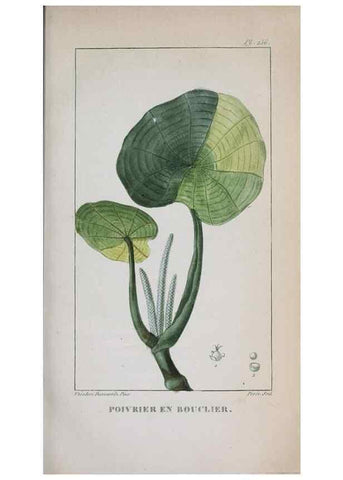 Reproducción/Reproduction 46446414634: Flore pittoresque et médicale des Antilles, ou, Histoire naturelle des plantes usuelles des colonies françaises, anglaises, espagnoles, et portugaises /. Paris :Ches l'Editeur,1833.. 