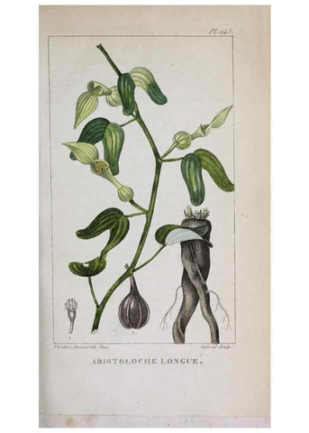 Reproducción/Reproduction 47117954082: Flore pittoresque et médicale des Antilles, ou, Histoire naturelle des plantes usuelles des colonies françaises, anglaises, espagnoles, et portugaises /. Paris :Ches l'Editeur,1833.. 