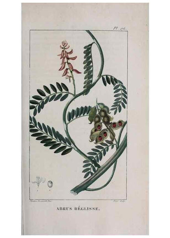 Reproducción/Reproduction 40205083143: Flore pittoresque et médicale des Antilles, ou, Histoire naturelle des plantes usuelles des colonies françaises, anglaises, espagnoles, et portugaises /. Paris :Ches l'Editeur,1833.. 