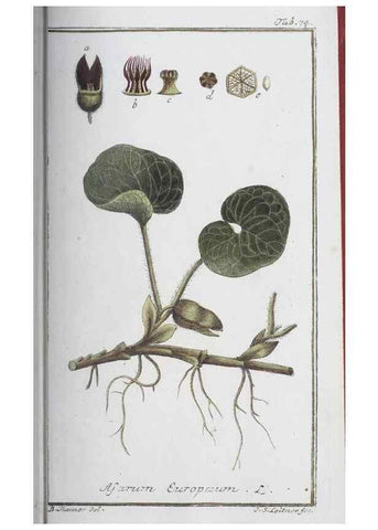 Reproducción/Reproduction 47127167642: Icones plantarum medicinalium.. Nürnberg :auf Kosten der Raspischen Buchhandlung,1779-1790. 