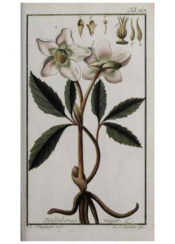 Reproducción/Reproduction 47179216321: Icones plantarum medicinalium.. Nürnberg :auf Kosten der Raspischen Buchhandlung,1779-1790. 