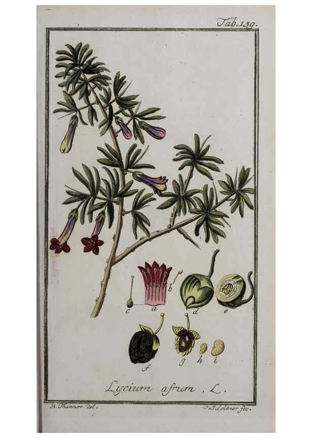 Reproducción/Reproduction 47179197781: Icones plantarum medicinalium.. Nürnberg :auf Kosten der Raspischen Buchhandlung,1779-1790. 