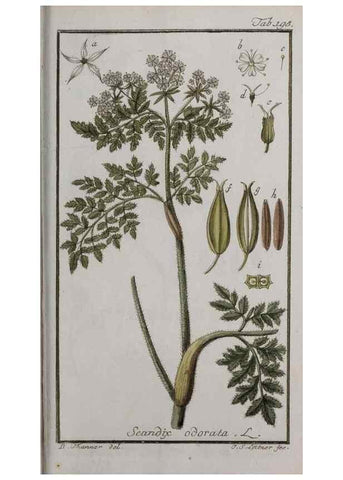 Reproducción/Reproduction 46265057995: Icones plantarum medicinalium.. Nürnberg :auf Kosten der Raspischen Buchhandlung,1779-1790. 