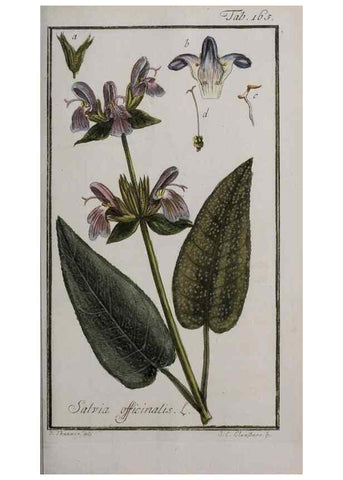 Reproducción/Reproduction 47179202191: Icones plantarum medicinalium.. Nürnberg :auf Kosten der Raspischen Buchhandlung,1779-1790. 