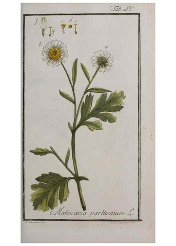 Reproducción/Reproduction 40214367893: Icones plantarum medicinalium.. Nürnberg :auf Kosten der Raspischen Buchhandlung,1779-1790. 