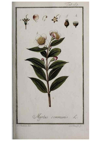 Reproducción/Reproduction 46455700874: Icones plantarum medicinalium.. Nürnberg :auf Kosten der Raspischen Buchhandlung,1779-1790. 