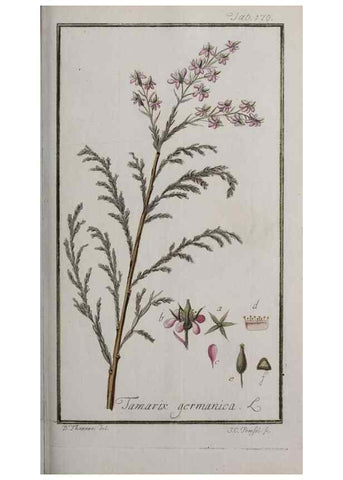 Reproducción/Reproduction 32237460357: Icones plantarum medicinalium.. Nürnberg :auf Kosten der Raspischen Buchhandlung,1779-1790. 