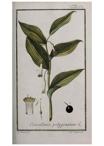 Reproducción/Reproduction 46455702124: Icones plantarum medicinalium.. Nürnberg :auf Kosten der Raspischen Buchhandlung,1779-1790. 
