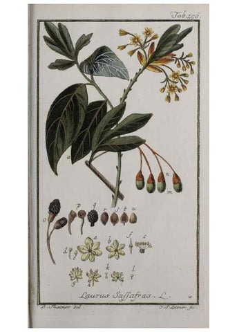 Reproducción/Reproduction 40214383893: Icones plantarum medicinalium.. Nürnberg :auf Kosten der Raspischen Buchhandlung,1779-1790. 