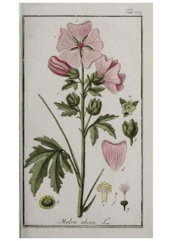 Reproducción/Reproduction 47127576442: Icones plantarum medicinalium.. Nürnberg :auf Kosten der Raspischen Buchhandlung,1779-1790. 