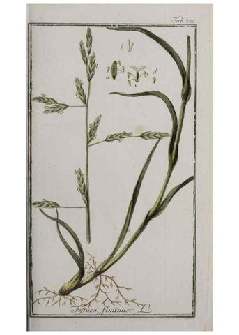 Reproducción/Reproduction 46455861164: Icones plantarum medicinalium.. Nürnberg :auf Kosten der Raspischen Buchhandlung,1779-1790. 