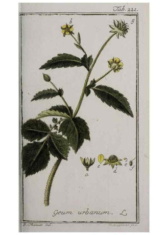 Reproducción/Reproduction 32237617477: Icones plantarum medicinalium.. Nürnberg :auf Kosten der Raspischen Buchhandlung,1779-1790. 