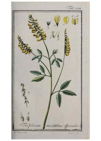 Reproducción/Reproduction 47179361861: Icones plantarum medicinalium.. Nürnberg :auf Kosten der Raspischen Buchhandlung,1779-1790. 