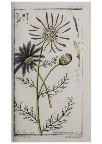 Reproducción/Reproduction 47179363121: Icones plantarum medicinalium.. Nürnberg :auf Kosten der Raspischen Buchhandlung,1779-1790. 