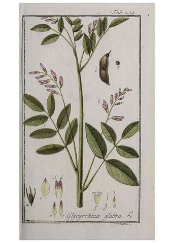 Reproducción/Reproduction 46455855824: Icones plantarum medicinalium.. Nürnberg :auf Kosten der Raspischen Buchhandlung,1779-1790. 