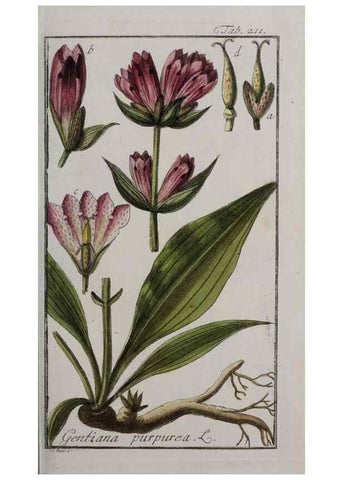 Reproducción/Reproduction 32237609867: Icones plantarum medicinalium.. Nürnberg :auf Kosten der Raspischen Buchhandlung,1779-1790. 