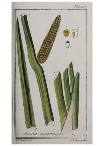Reproducción/Reproduction 47179365471: Icones plantarum medicinalium.. Nürnberg :auf Kosten der Raspischen Buchhandlung,1779-1790. 