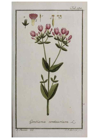 Reproducción/Reproduction 46265024245: Icones plantarum medicinalium.. Nürnberg :auf Kosten der Raspischen Buchhandlung,1779-1790. 