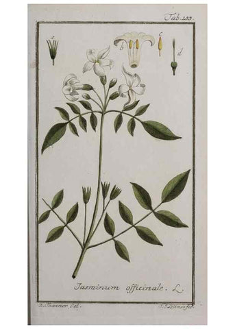 Reproducción/Reproduction 46265023455: Icones plantarum medicinalium.. Nürnberg :auf Kosten der Raspischen Buchhandlung,1779-1790. 
