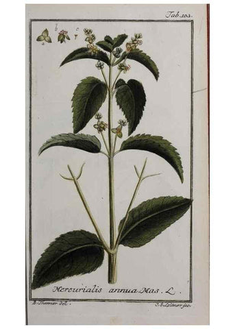 Reproducción/Reproduction 33303898818: Icones plantarum medicinalium.. Nürnberg :auf Kosten der Raspischen Buchhandlung,1779-1790. 