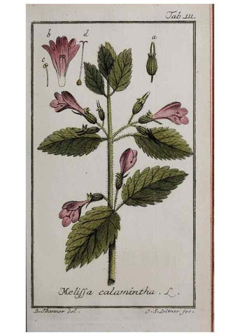 Reproducción/Reproduction 33303904698: Icones plantarum medicinalium.. Nürnberg :auf Kosten der Raspischen Buchhandlung,1779-1790. 