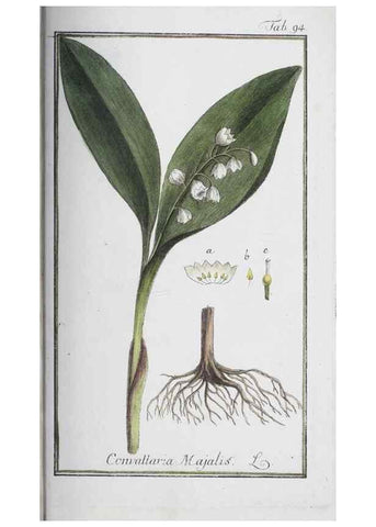 Reproducción/Reproduction 47179028701: Icones plantarum medicinalium.. Nürnberg :auf Kosten der Raspischen Buchhandlung,1779-1790. 