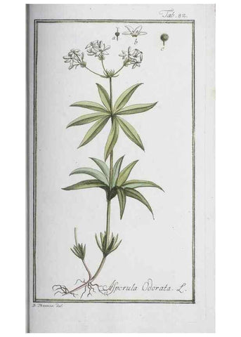 Reproducción/Reproduction 32237280717: Icones plantarum medicinalium.. Nürnberg :auf Kosten der Raspischen Buchhandlung,1779-1790. 